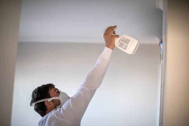 Mold Removal Process in Merchantville, NJ