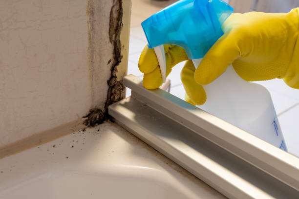 Best Mold Remediation Services  in Merchantville, NJ
